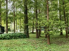 -黄海国家森林公园