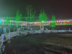 -北京鹿世界主题园