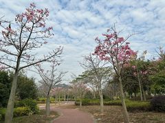 -风云岭森林公园