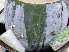 -红旗山庄(圭峰山店)