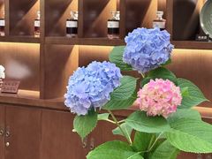-雷峰塔·藕香居餐厅