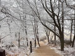 -崂山巨峰游览区