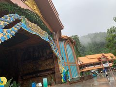 -西双版纳原始森林公园