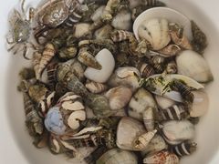 -红树林天天赶海