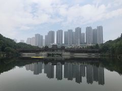 -重庆彩云湖湿地公园