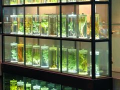 -广东中医药博物馆