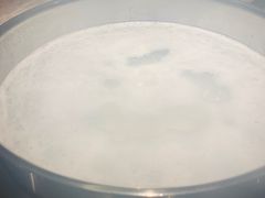 -淘米捞·米汤脆鲩鱼火锅(福田皇岗店)