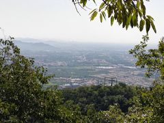 -金台阶鱼馆(于桥水库店)