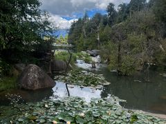 -黑龙潭公园