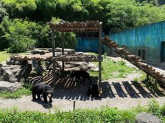 -宁波野生动物园