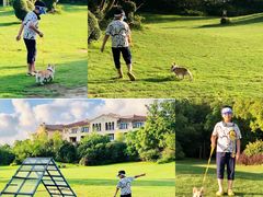 -上海崇明金茂凯悦酒店