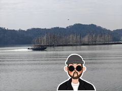 -东湖落雁景区