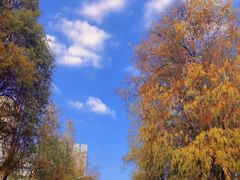 -华海酒店(茂名高铁站店)