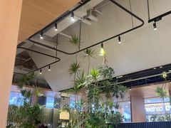 -gaga(深圳福田星河COCO Park店)