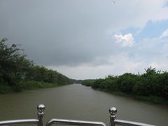-大湾区中央湿地公园