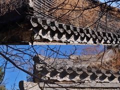 -白水寺森林公园