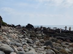 -西涌国际滨海旅游区