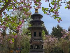 -哈尔滨极乐寺