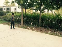 -意大利农场度假村