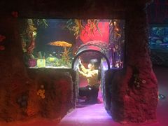 -沈阳海洋探索中心