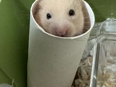 -达爱动物医院·犬猫分区·CT·复杂眼科(远洋山水分院)