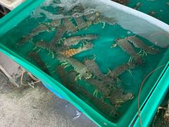 -拉威海鲜市场
