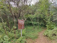 -南京老山国家森林公园