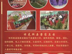 -特克斯八卦城