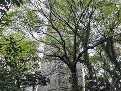 -江心屿景区