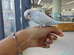 -怪兽屋·羊驼·猫咖·狗咖(俊华广场店)