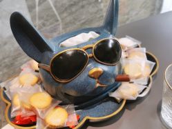 -MC皮肤管理中心