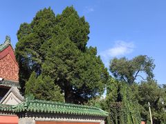 -北京古代建筑博物馆