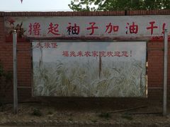 -大狼垡农家院