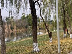 -白鹭湾湿地公园