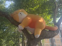 -西安电影制片厂