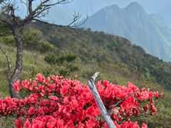 -萍乡武功山风景名胜区