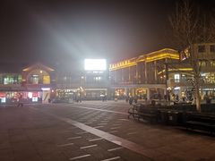 -城南老友羊蝎子火锅(花乡奥莱店)