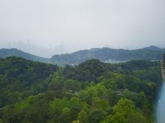 -大金鹰园