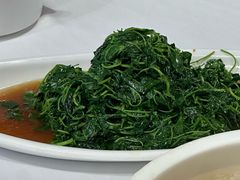 -天福苑(崇宁路店)