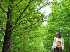 -桤木河湿地公园