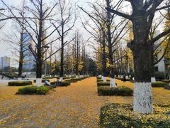 -百林公园-两江幸福广场