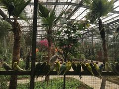-呀路古热带植物园