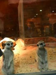 -酷嗒动物文化乐园(cutezoo西溪乐天城店)