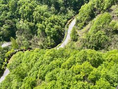 -栾川竹海野生动物园