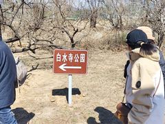 -白水寺森林公园