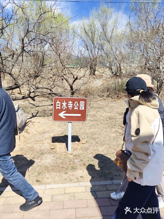 白水寺森林公园图片
