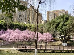-沐仙湖湿地公园