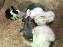 -宝燕乐园(闵行旗舰店)