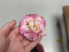 -聚宝螺蛳粉(聚宝店)