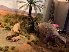 -贝林大翅鲸简餐厅(国家海洋博物馆店)